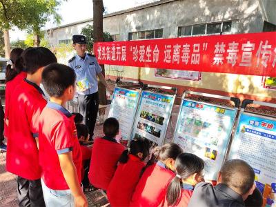 鄢城街道铁湖小学：禁毒宣传进校园 筑牢安全“防护墙”