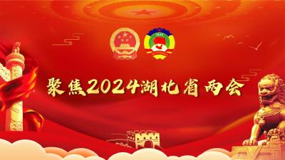 祝贺2024年湖北省“两会”胜利召开