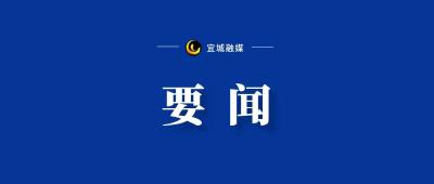 巡视公告 