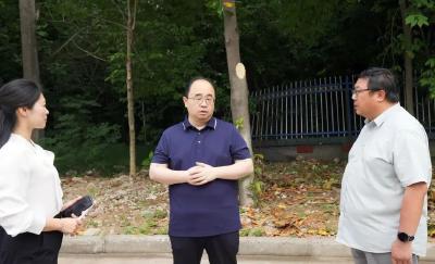 武义泉调度经济开发区管网排查情况