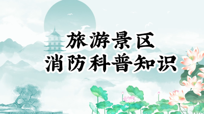 安全最“粽”要 端午节消防安全提示