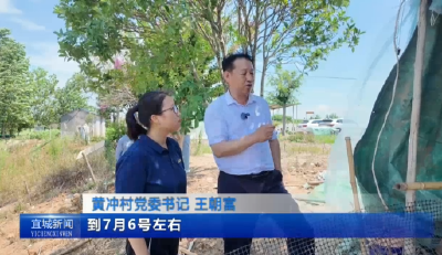 【云视听】担当作为“好支书”王朝富：带着村民干 领着大家富
