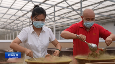 【云视听】网聚正能量 短视频大赛走进汉清食品 聚焦宜城特色酱料魅力