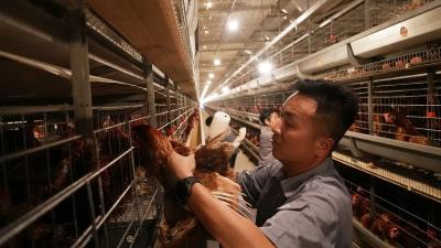 余志忠：智能养鸡带富乡亲的“新农人”