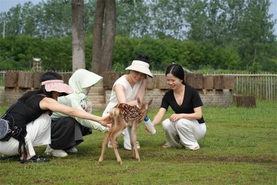 刘猴镇：夫妻携手打造梅花鹿特色产业 走出乡村振兴“不寻常路”