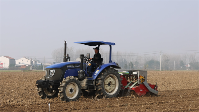 宜城：良种同台“竞技”“麦”向丰收新希望