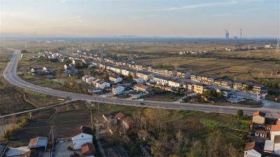 小河镇：“四项行动”破局增效 绘就城乡融合发展新图景