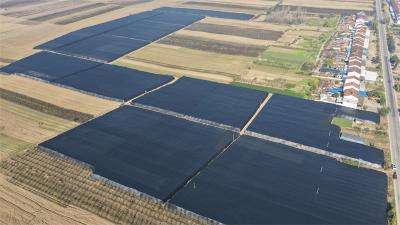 流水镇：抢抓好时节 种植羊肚菌