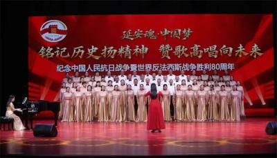 宜城市群星合唱团在襄十随片区合唱展演中获佳绩