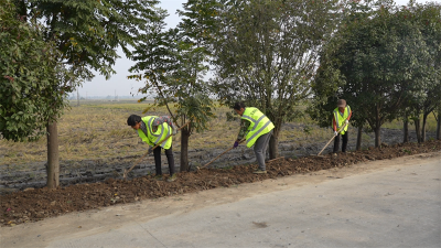 宜城：“四好农村路”织就民生幸福网