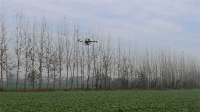 宜城：无人机“飞防”助力油菜壮苗越冬