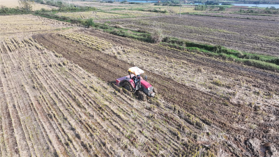 宜城：“良技良机”双驱动 按下小麦播种快进键