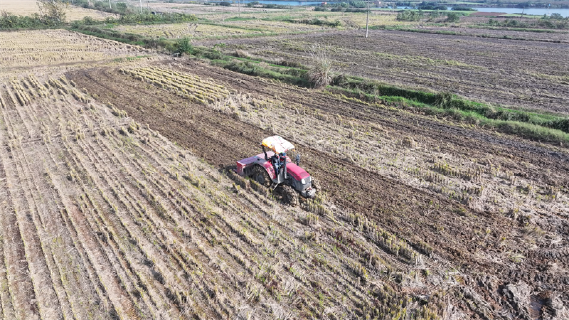宜城：“良技良机”双驱动 按下小麦播种快进键