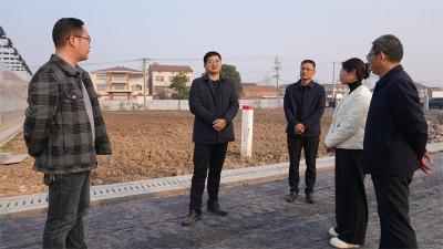  【深入学习贯彻党的二十届四中全会精神】王迪到龙头街道宣讲 党的二十届四中全会精神并调研