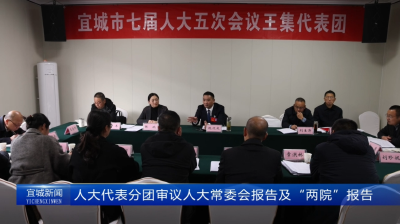 【云视听】【聚焦两会】人大代表分团审议人大常委会报告及“两院”报告