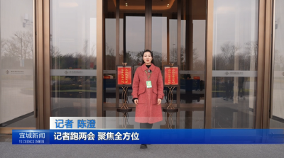 【云视听】【聚焦两会】履职赴盛会 良策惠宜城