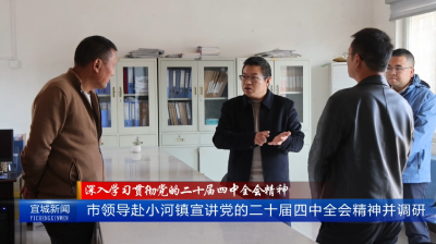 【云视听】【深入学习贯彻党的二十届四中全会精神】市领导赴小河镇宣讲党的二十届四中全会精神并调研