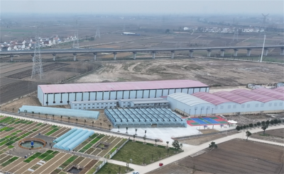 雷河镇民主村：2800万国有资产成功盘活 废弃厂房“重生”惠民生