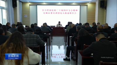 【云视听】【深入学习贯彻党的二十届四中全会精神】深入学习贯彻党的二十届四中全会精神宜城市委宣讲团龙头街道报告会举行
