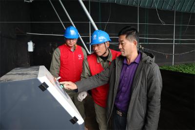 寒潮来袭 电力先行 宜城电力护航“菜篮子”温暖过冬