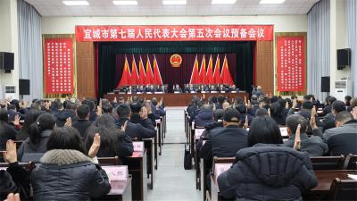 【云视听】宜城市第七届人民代表大会第五次会议举行预备会议