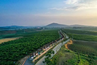 【宜城融评】汉水潮涌千帆竞 楚都风劲万象新——热烈祝贺宜城两会开幕