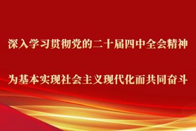 扩大高水平对外开放（学习贯彻党的二十届四中全会精神）