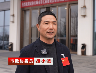 履职赴盛会  良策惠宜城  市政协委员胡小波
