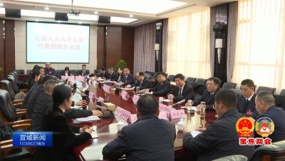 【云视听】【聚焦两会】宜城市第七届人民代表大会第五次会议召开代表团团长会议