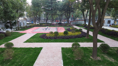 龙头街道紫阳观社区：老旧小区改造焕新 居民生活提质增效