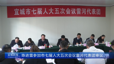 【云视听】【聚焦两会】陈进雷参加市七届人大五次会议雷河代表团审议