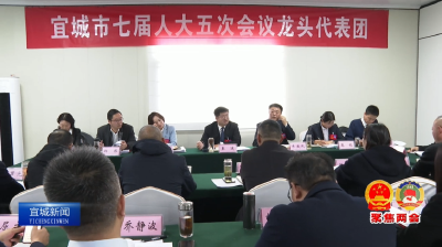 【云视听】【聚焦两会】王迪参加市七届人大五次会议龙头代表团审议