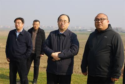  武义泉调研重点项目建设工作