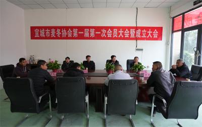 宜城市麦冬协会挂牌成立 赋能特色产业高质量发展 