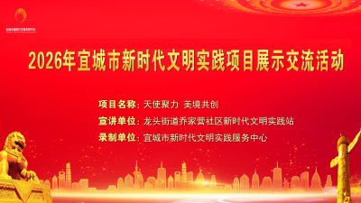 2026年宜城市新时代文明实践项目展示交流活动之十九——《天使聚力 美境共创》