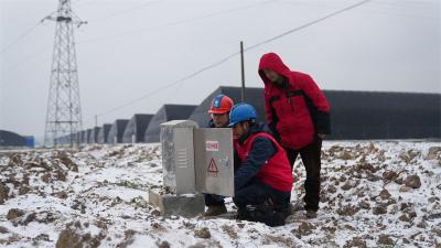 宜城市：多部门联动战寒潮 “菜篮子”稳供有保障