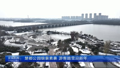 【云视听】楚都公园银装素裹 游客踏雪迎新年