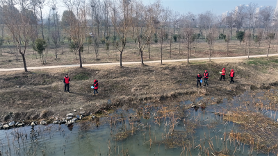  世界湿地日 宜城为候鸟“加餐”
