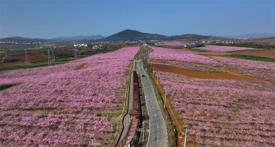 南营街道贯彻落实全市三级干部大会精神 聚焦三大领域谋划发展