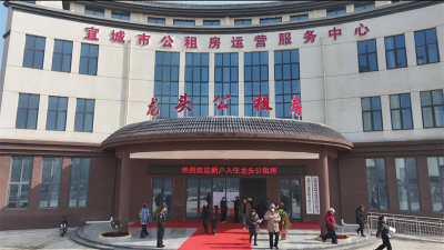 【我为群众办实事】龙头公租房启动集中交接 597户家庭喜圆安居梦迎新春