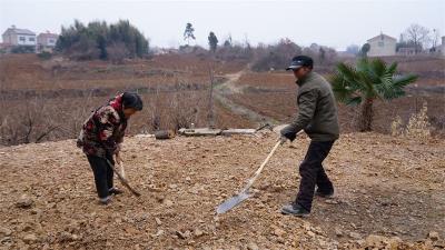板桥店镇牌坊村：村民合力修农路 田间畅通保丰年