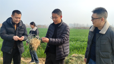 宜城市科协：志愿服务春耕行 科技惠农助振兴