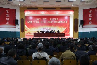 流水镇：实干担当启新程 奋楫扬帆谋发展