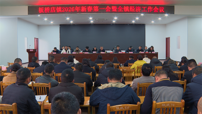 板桥店镇三级干部会：以“三马精神”跑出发展“加速度”