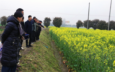 省市专家联合“支招” 科技筑牢丰收“底气”