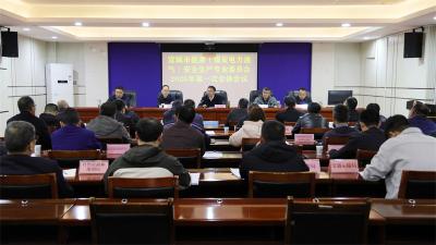 宜城市召开全市能源安全生产专业委员会2026年第一次会议