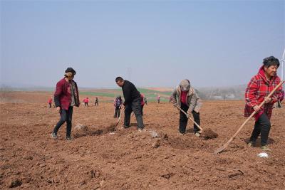 宜城：“生态+经济”双轮驱动 绘就“绿满楚都”新画卷