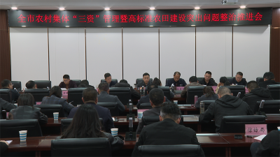 宜城部署推进农村集体“三资”管理与高标准农田建设突出问题整治工作