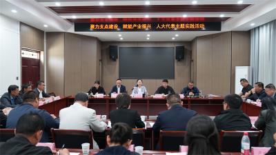 襄阳市领导到宜城参加“人大代表集中活动周”活动