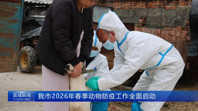 【云视听】我市2026年春季动物防疫工作全面启动